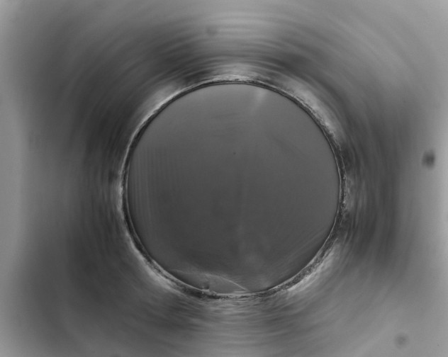 X0000102340802200808151727