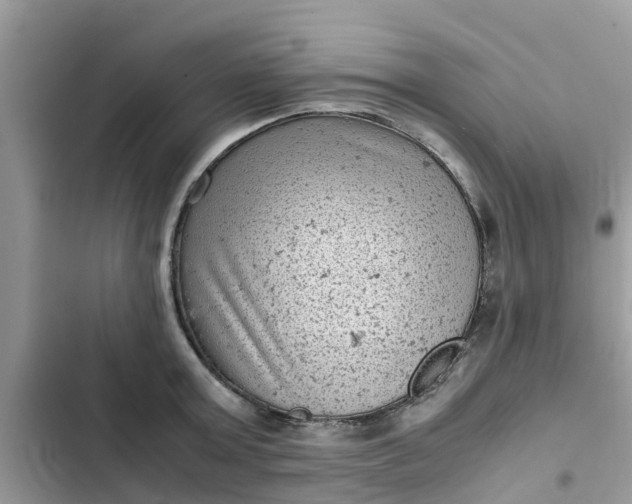 X0000102340803200808151727