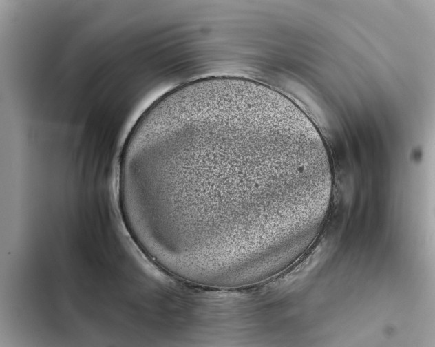 X0000102340804200808151726