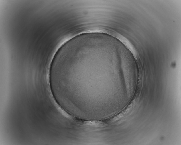 X0000102340805200808151726