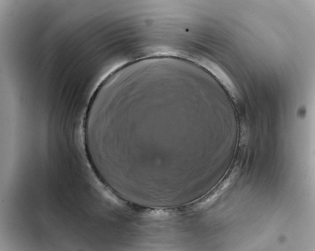 X0000102340806200808151726