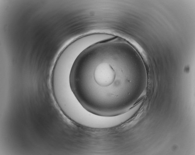 X0000102340807200808151726