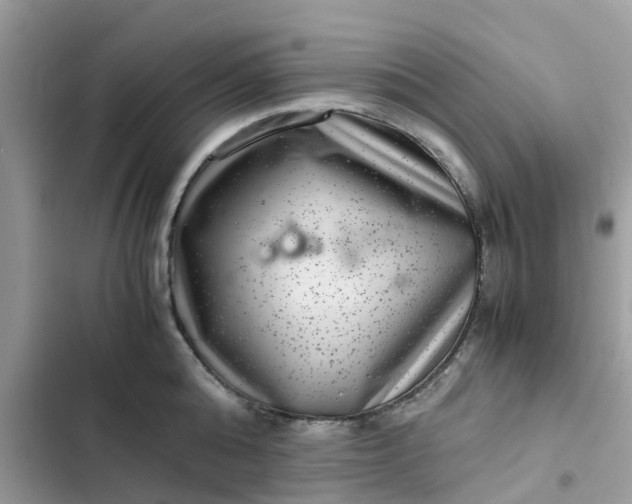 X0000102340808200808151726