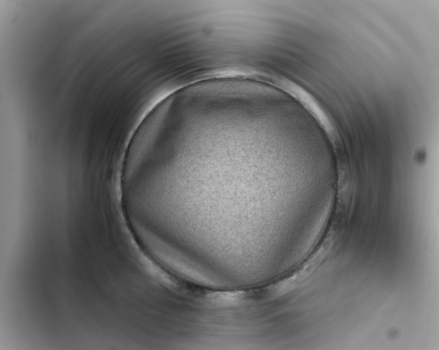 X0000102340810200808151726