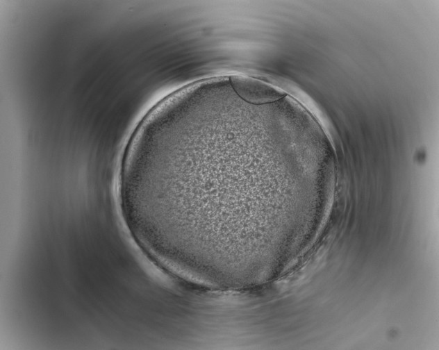 X0000102340811200808151726