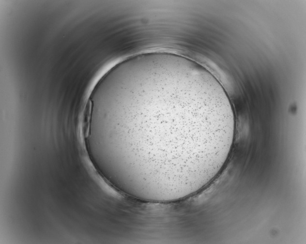 X0000102340812200808151726