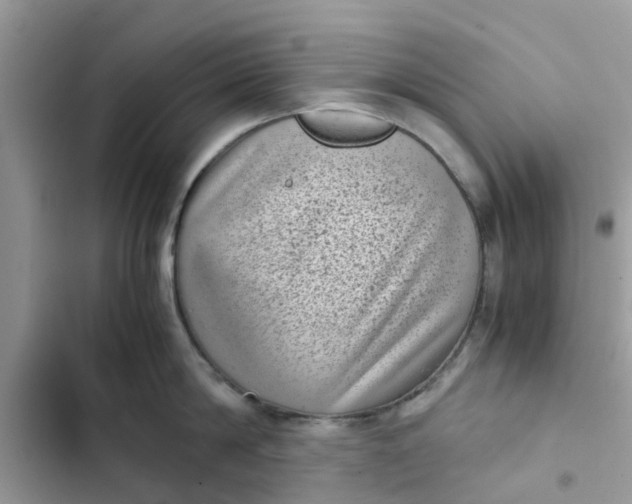 X0000102340814200808151726