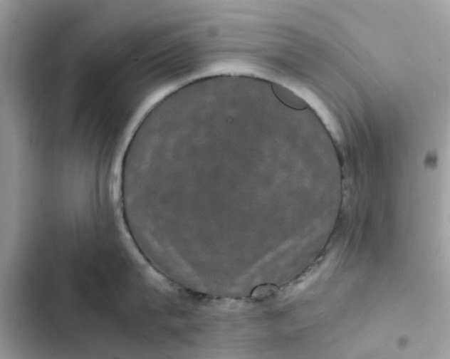 X0000102340815200808151726