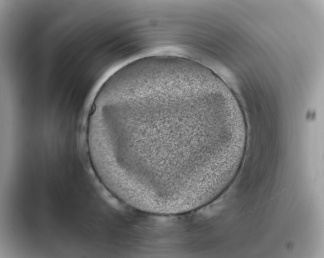 X0000102340816200808151726