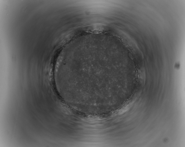 X0000102340818200808151726