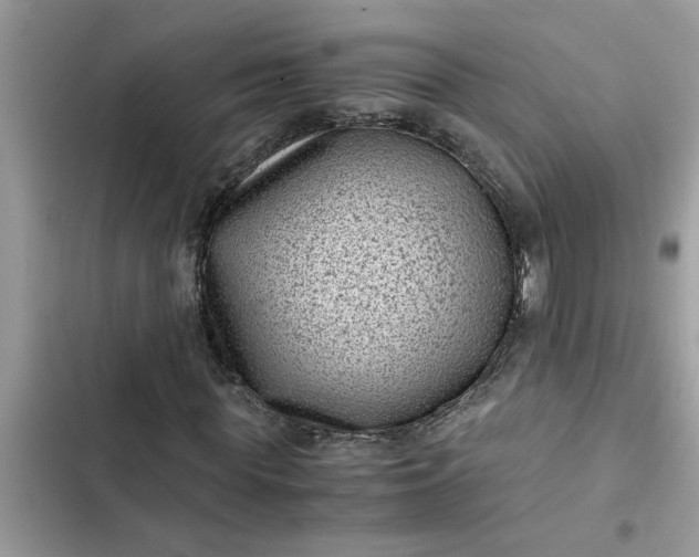 X0000102340819200808151726