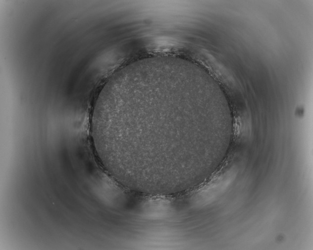 X0000102340820200808151726