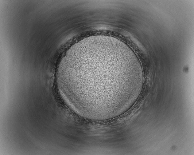 X0000102340821200808151726