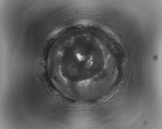 X0000102340822200808151726