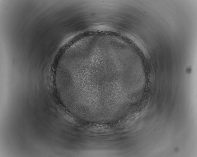 X0000102340823200808151726