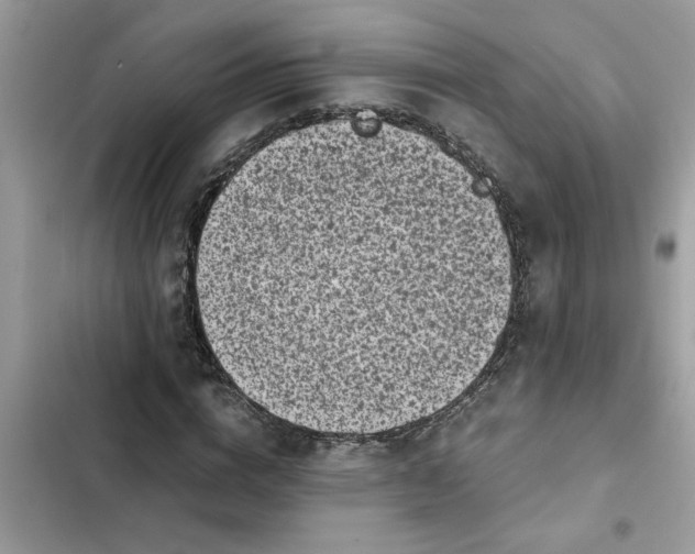 X0000102340824200808151726