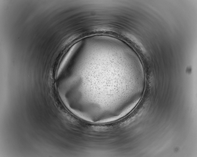 X0000102340825200808151726