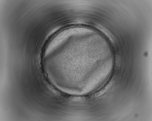 X0000102340826200808151726