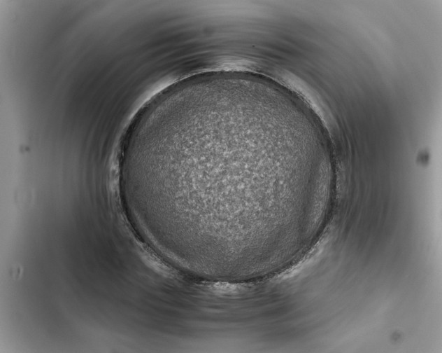 X0000102340827200808151726