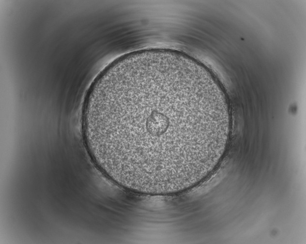 X0000102340828200808151726