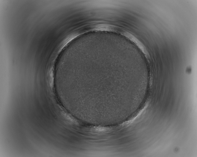 X0000102340829200808151726