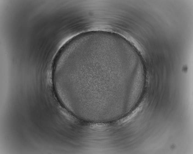 X0000102340830200808151726