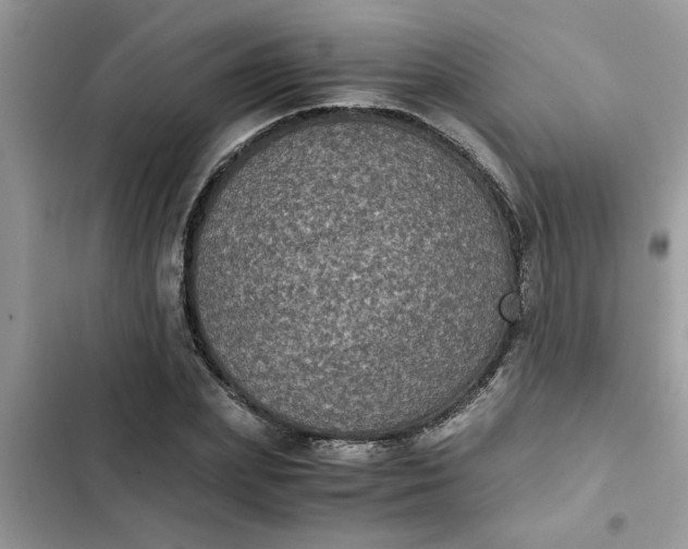 X0000102340831200808151726