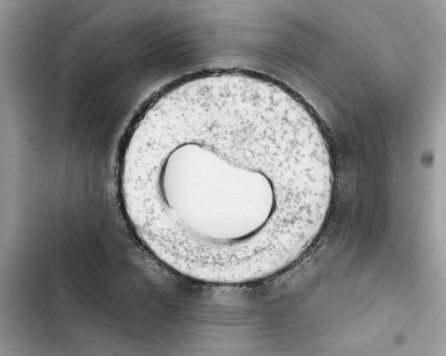 X0000102340832200808151726