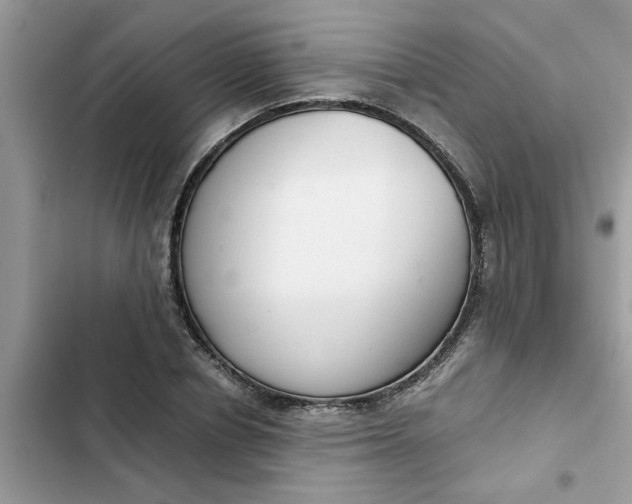 X0000102340834200808151726