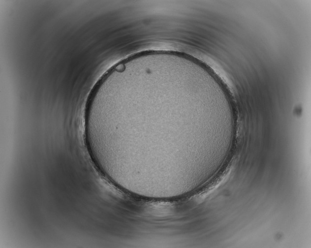 X0000102340837200808151726