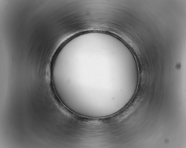 X0000102340838200808151726