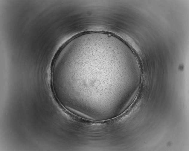 X0000102340839200808151726