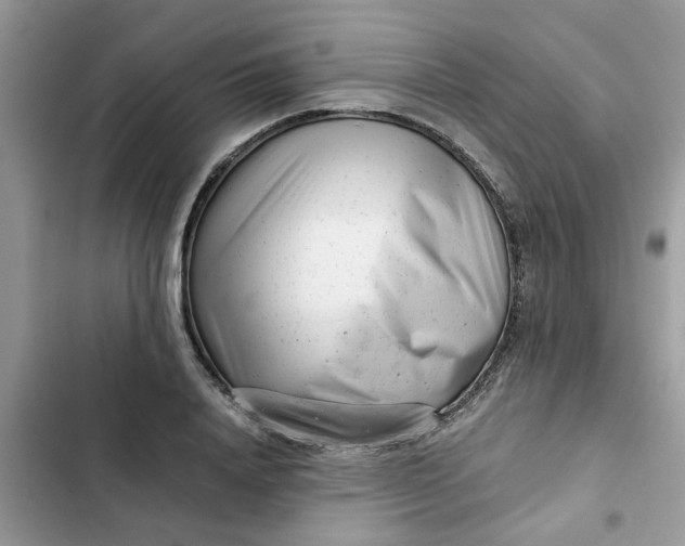 X0000102340840200808151726