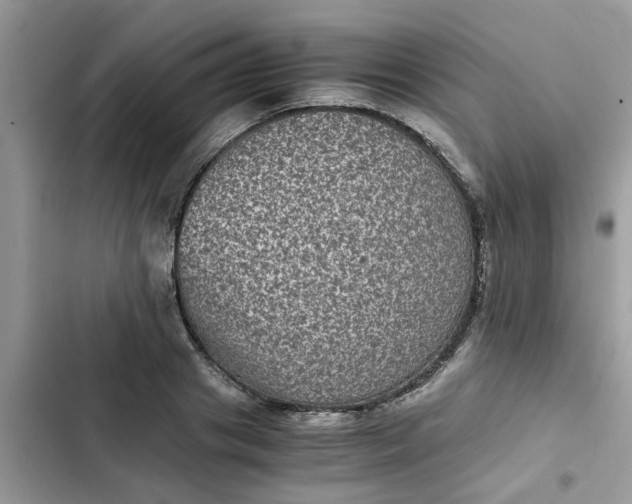 X0000102340841200808151726