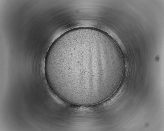 X0000102340842200808151726