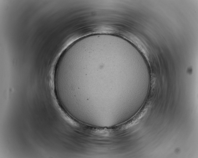 X0000102340843200808151726