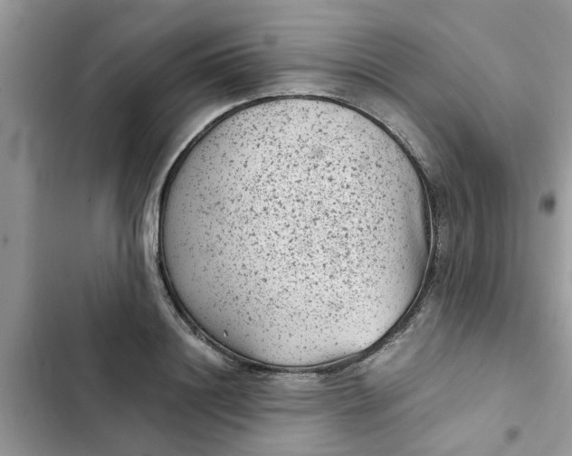 X0000102340844200808151726