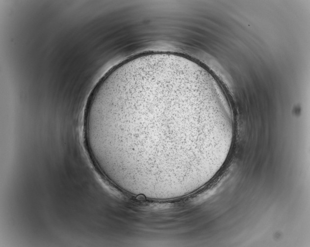 X0000102340845200808151726