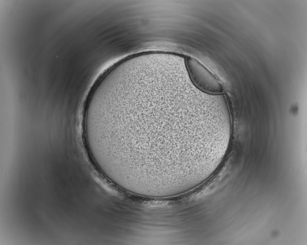 X0000102340846200808151726