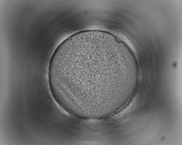 X0000102340847200808151726