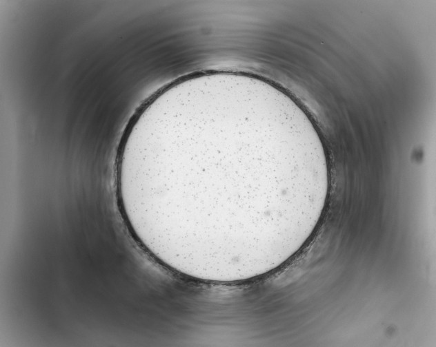 X0000102340848200808151726