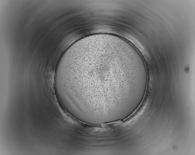 X0000102340849200808151726