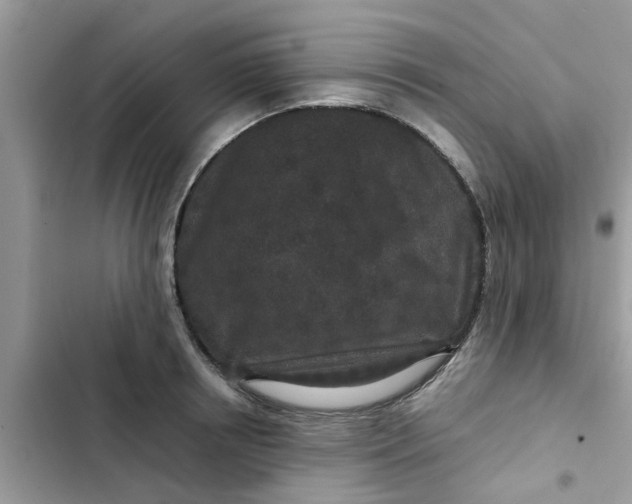 X0000102340850200808151726