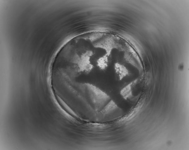 X0000102340851200808151726