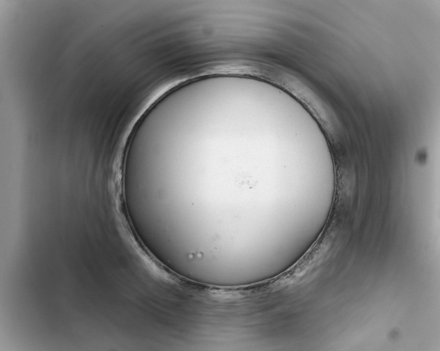 X0000102340852200808151726