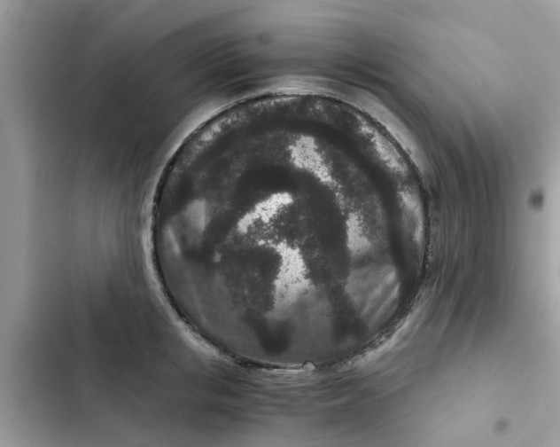 X0000102340853200808151726