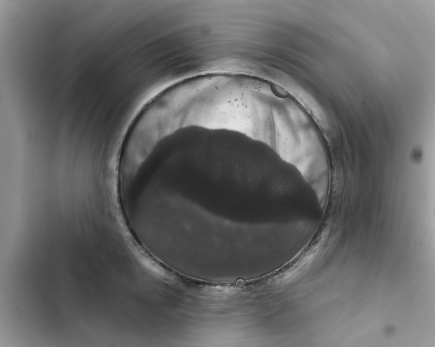 X0000102340854200808151726