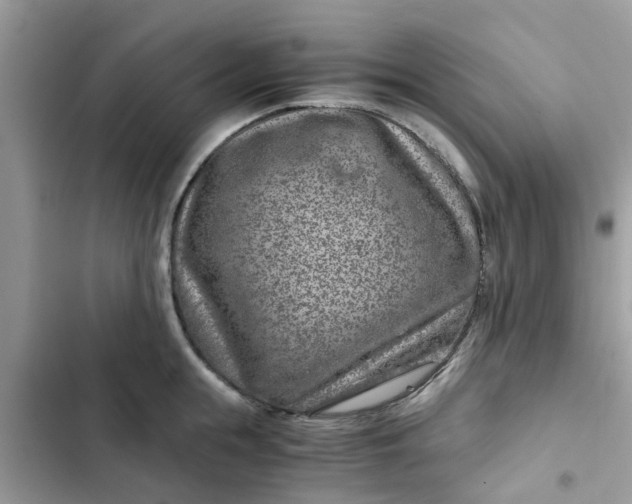 X0000102340855200808151726