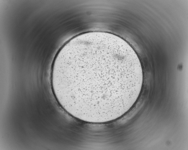 X0000102340856200808151726