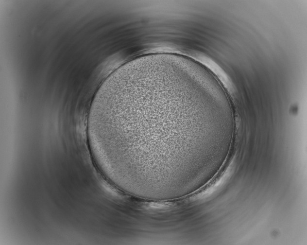 X0000102340857200808151726